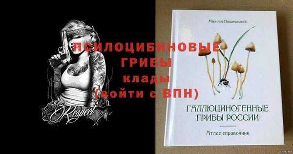 ПСИЛОЦИБИНОВЫЕ ГРИБЫ Баксан